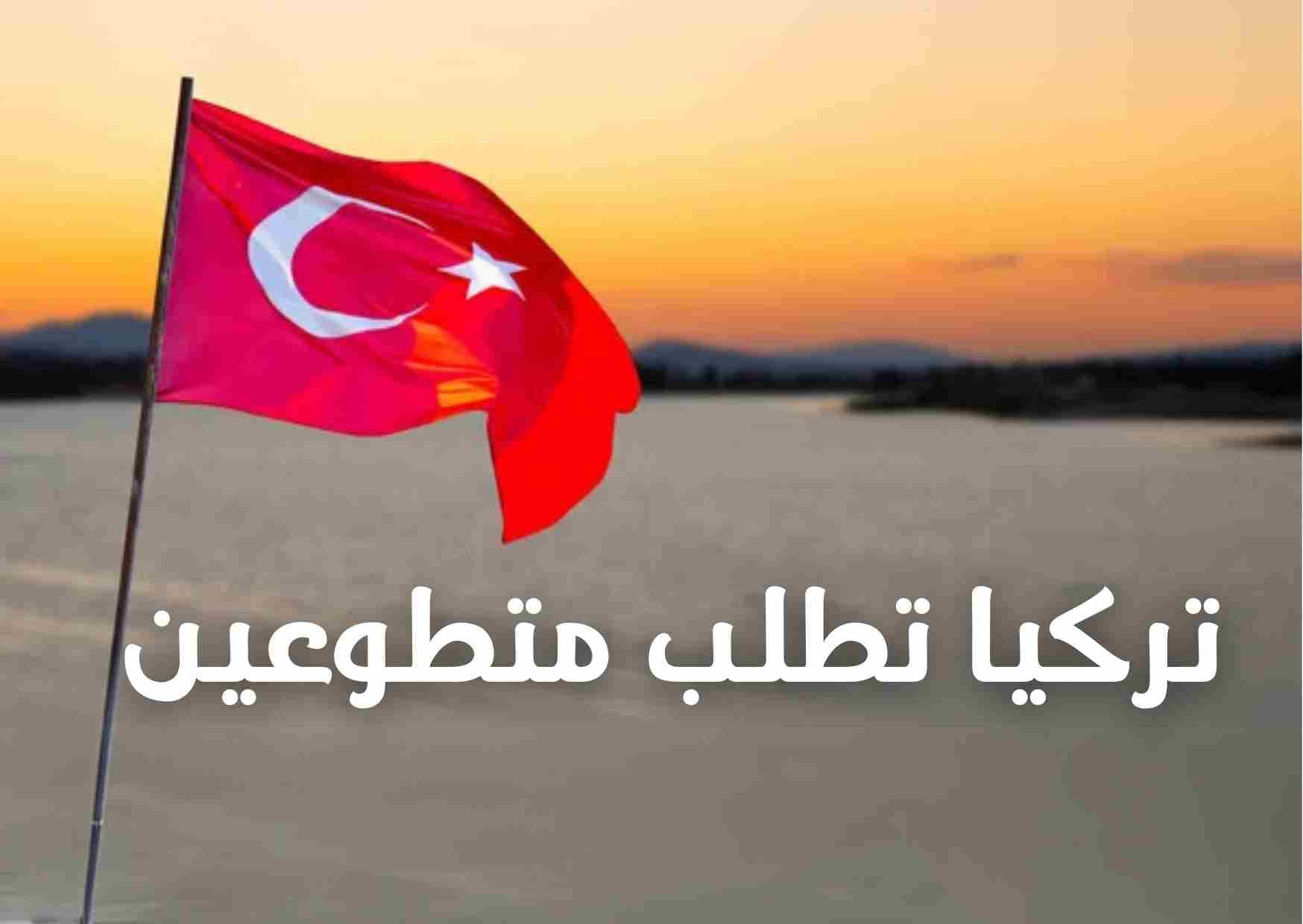 برنامج OUR FUTURE IS NOW 4 للتطوع في أنقرة 2026